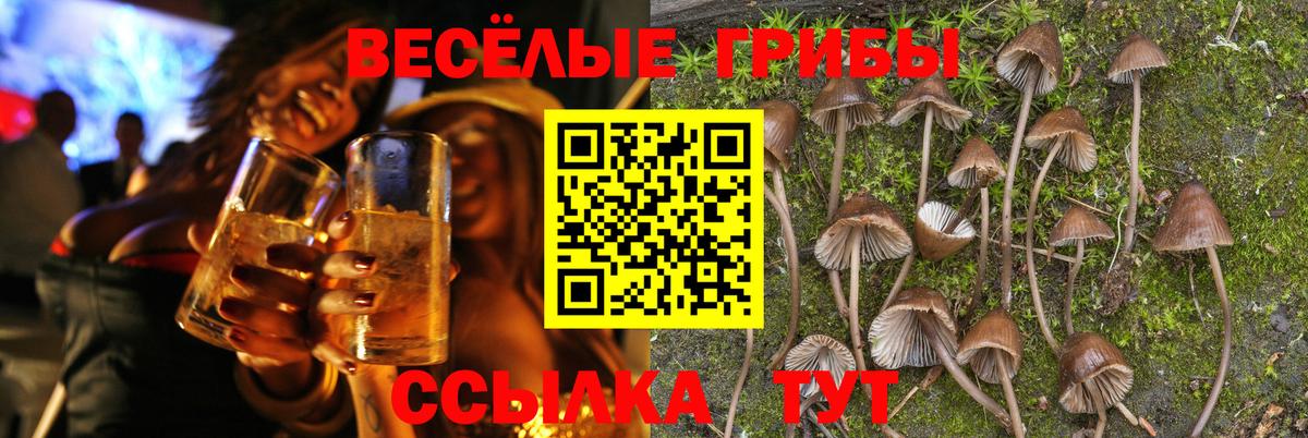 где купить наркотик  Вход с VPN  Краснодар  Псилоцибиновые грибы ЛСД 